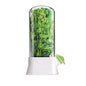 Vanilla vegetable fresh-keeping box pressure resistant fresh-keeping device creative fresh-keeping cup